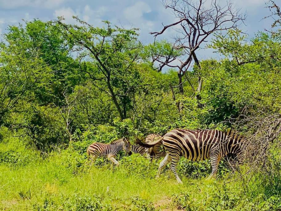 Wildheart Safari - Main Apartment Hoedspruit Luaran gambar